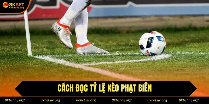 Hướng dẫn cách đọc hệ số cược kèo góc